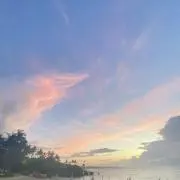 s ※8/11、12発送不可の画像