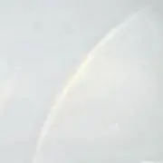 ぱぴこ(プロフ必読)の画像