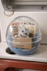 Raaの画像