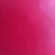 ようちゃんの画像