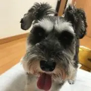 AIBEEE