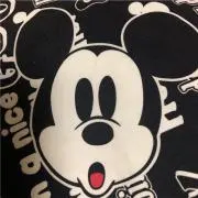 ミッキの画像