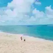 ざべすんの画像