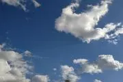 Beeさんの画像