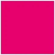 スターウォーズ セレブレーションジャパン2025 入場バッジ アソーカ2枚