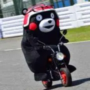 れんれん