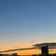 猫の画像