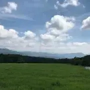 Auraの画像