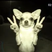 54の画像