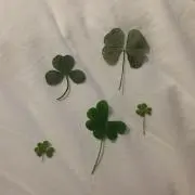 月