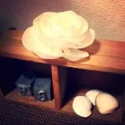 れんにゃん☆プロフ必読☆の画像