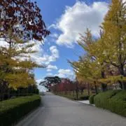 arisaの画像