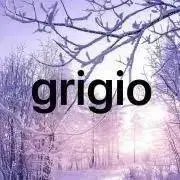 grigioの画像