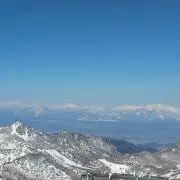 hasseの画像