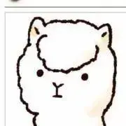 アルパカ（即購入可）の画像