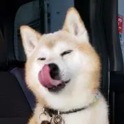 シンジョウ