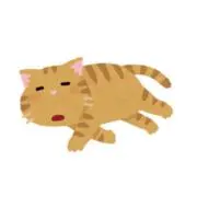sawaの画像