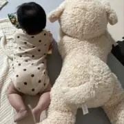 ゆの画像