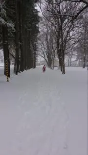 ころの画像