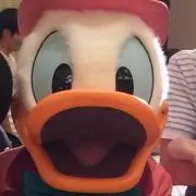ドナルドの画像
