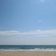 mariの画像