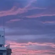tomoの画像