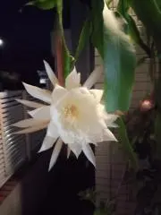 チームまろタンの画像