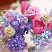 MIKY☻プロフ必読