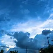 りーぼーの画像