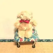 パイン