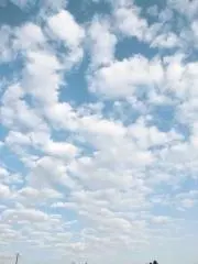 heyoca...＊*の画像