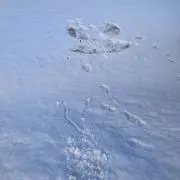 Ruqiの画像