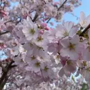 doonの画像
