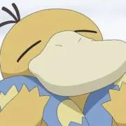あずき丸の画像