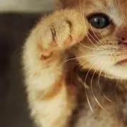 愛♡