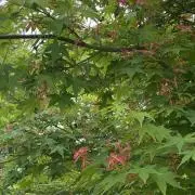 mg.プロフ必読お願いします