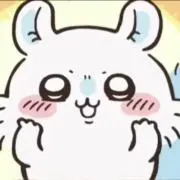 あんずの画像