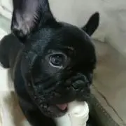 ゆきこ