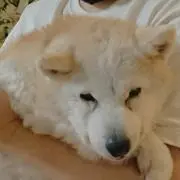 ひろこちん