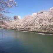 グリーントパーズの画像