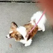 johnyoshirouの画像