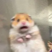 kの画像