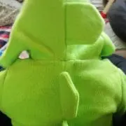 春汰