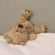 Rii