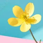 けい09の画像