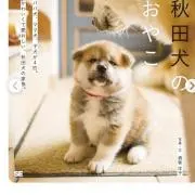 ワンコの画像
