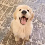 Kの画像