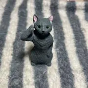 chiiiの画像