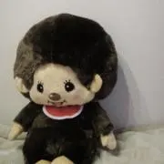 moomの画像