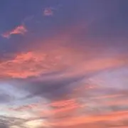 lny